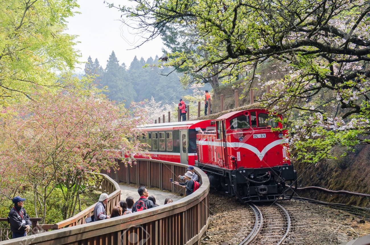  Alishan National Park 