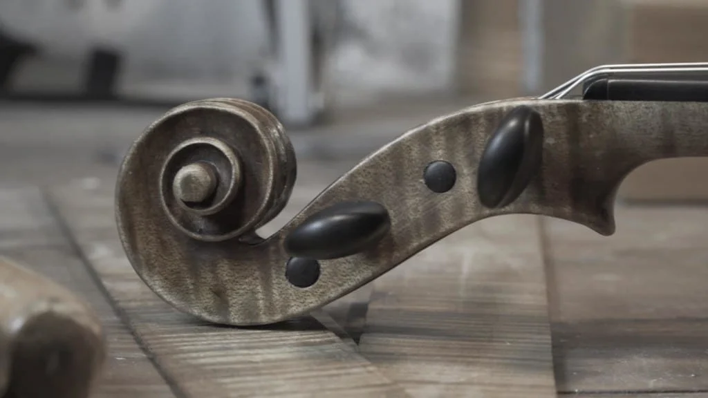 World's First Vegan Violin