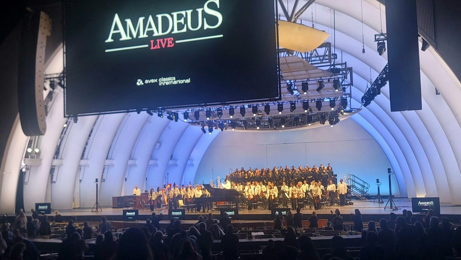 amadeus1.jpg