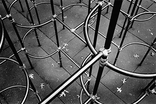 jungle gym.jpg
