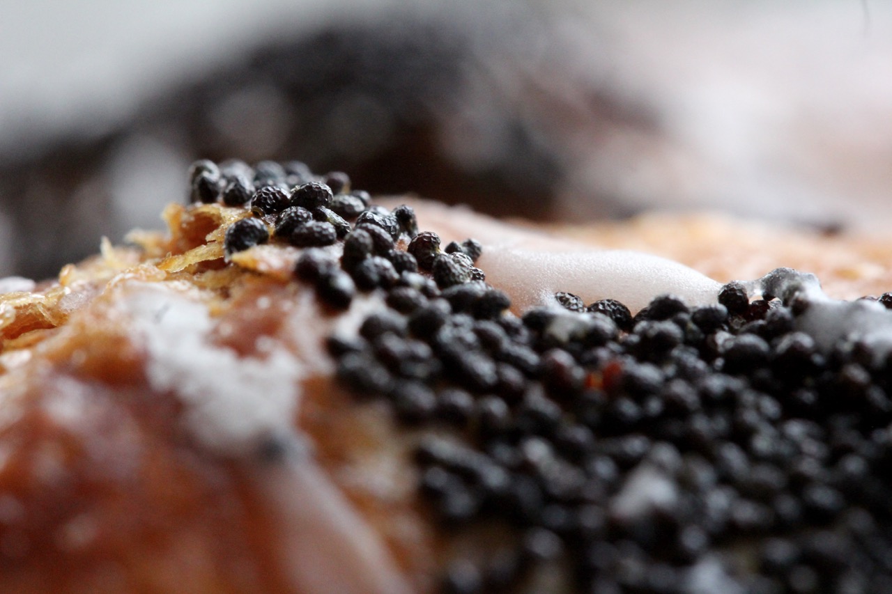 Poppy Seed Danish, 2015