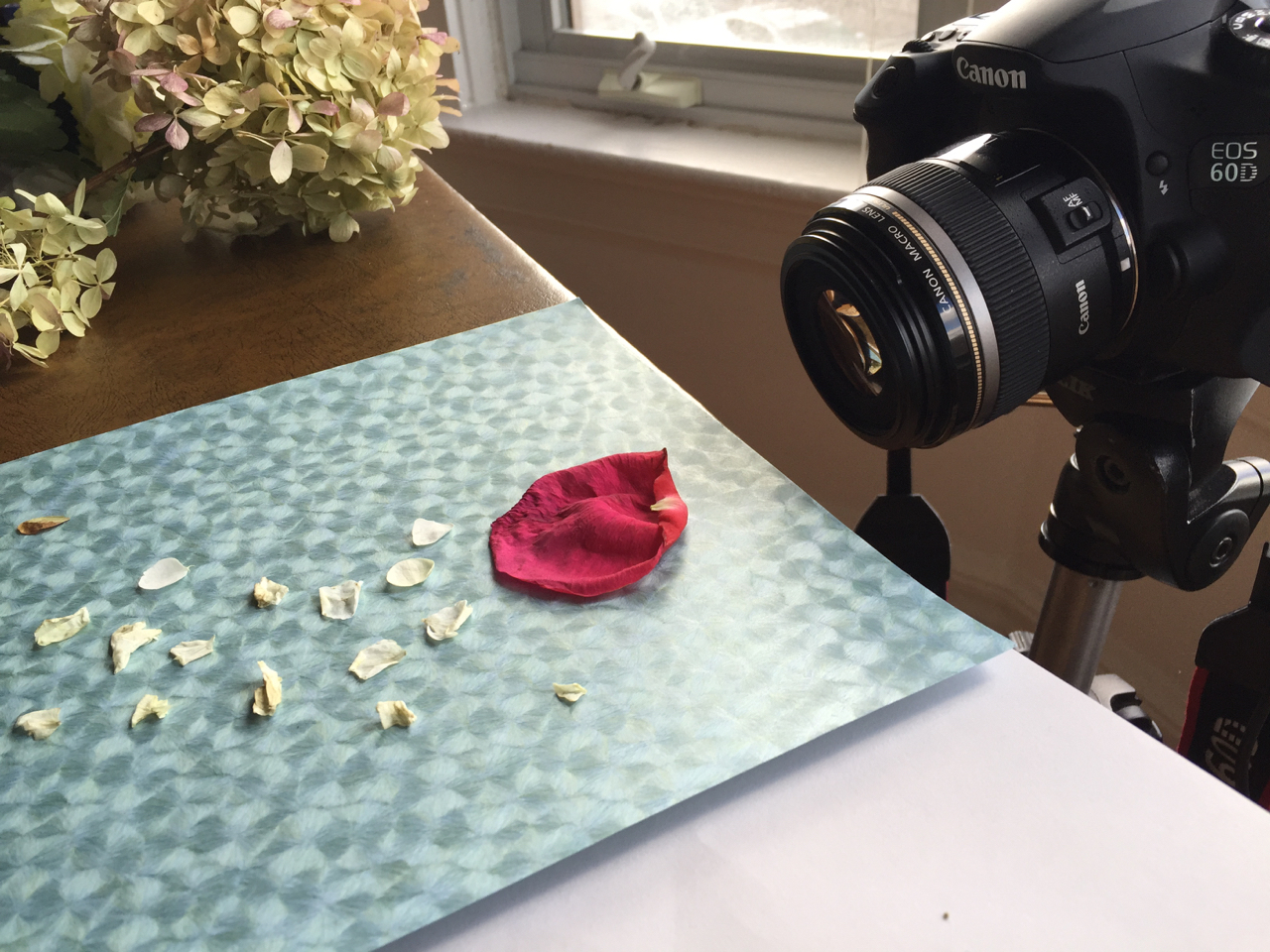 macroflowers.jpg