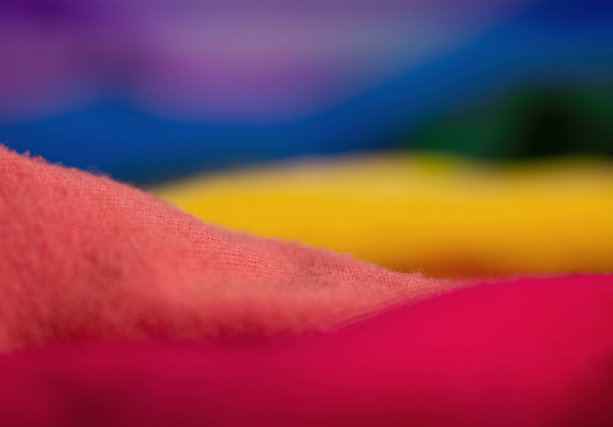Love is Love, 2016