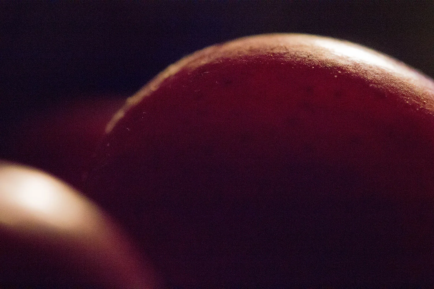Crabapples, 2016