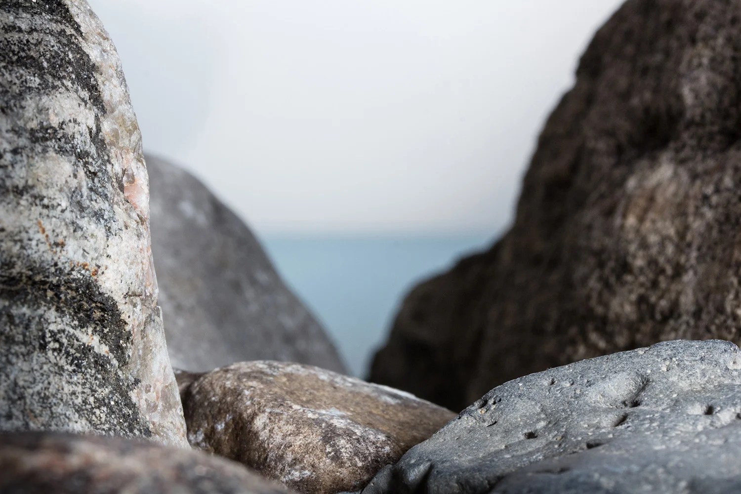Rocks, 2016