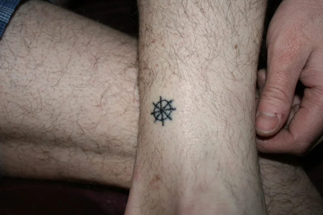 tumblr_lzvijapEIG1qcvxr2o1_1280.jpg