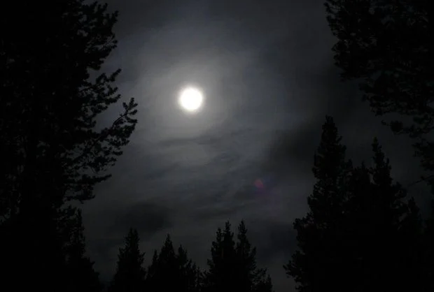 November Full Moon Spirit Hike