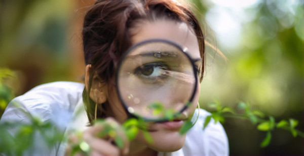 Edible, Medicinal, and Poisonous Plants of the Front Range