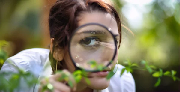 Edible, Medicinal, and Poisonous Plants of the Front Range