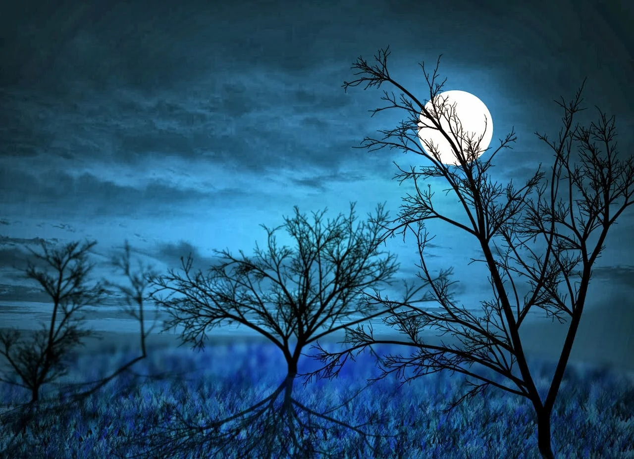 Full Moon Mini Backpacking Trip