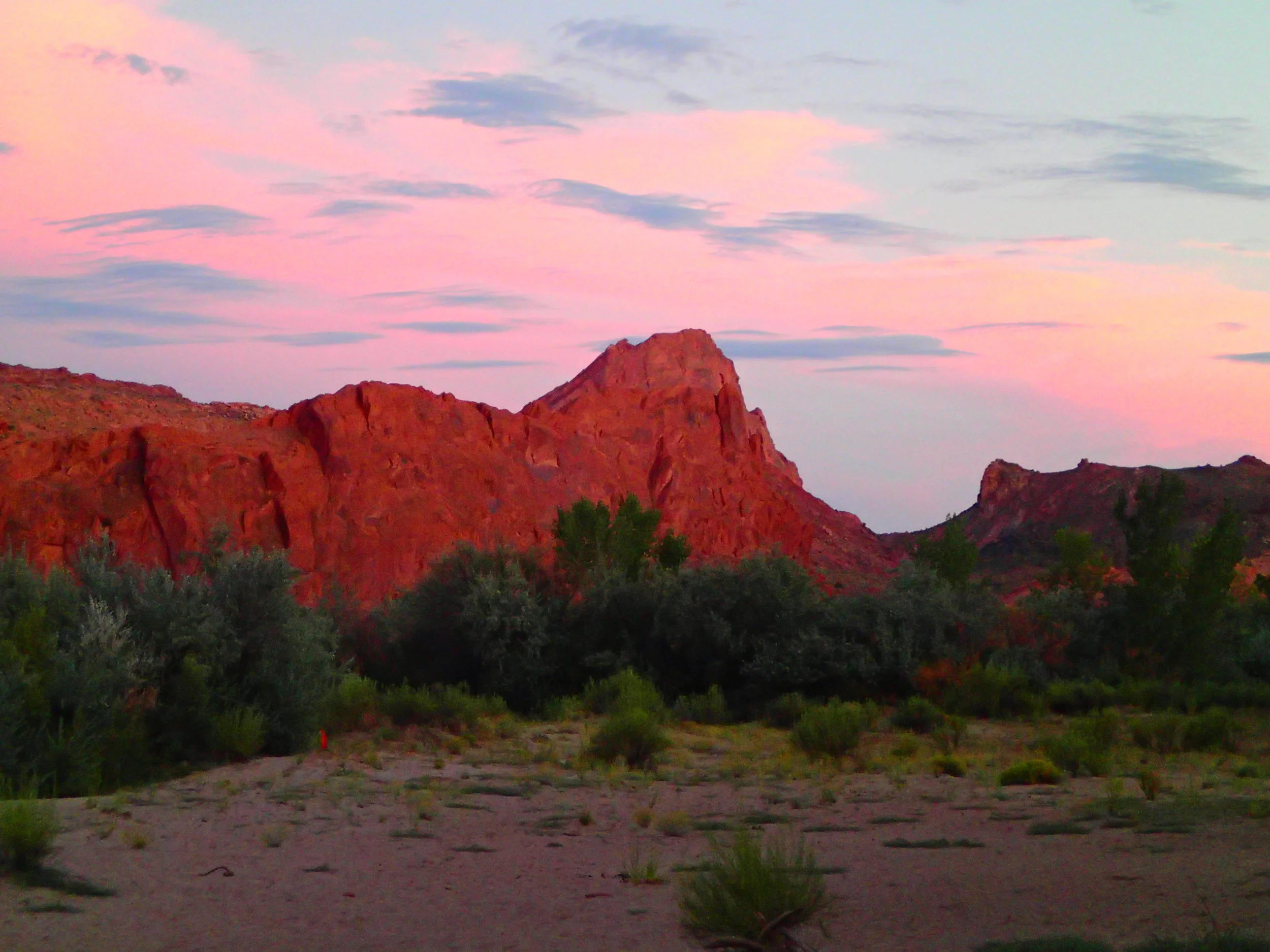 Yoga and Rafting on the San Juan River