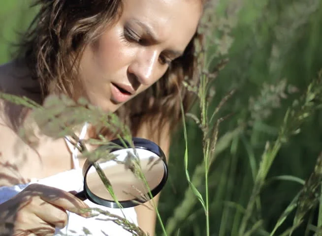 Edible, Medicinal, and Poisonous Plants of the Eastern Rockies