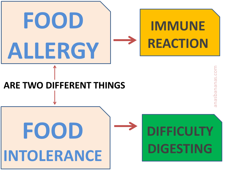 cdr wallach food allergies rotation diet