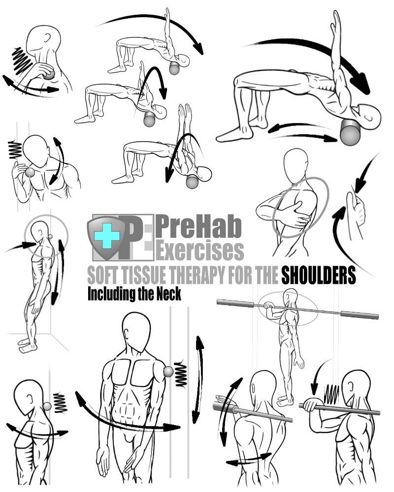 PreHab-Exercise-Book-Appendix-Soft-Tissue-Therapy-for-the-Shoulders-and-Neck-Deltoids-Trapezius-Scalenes.jpg