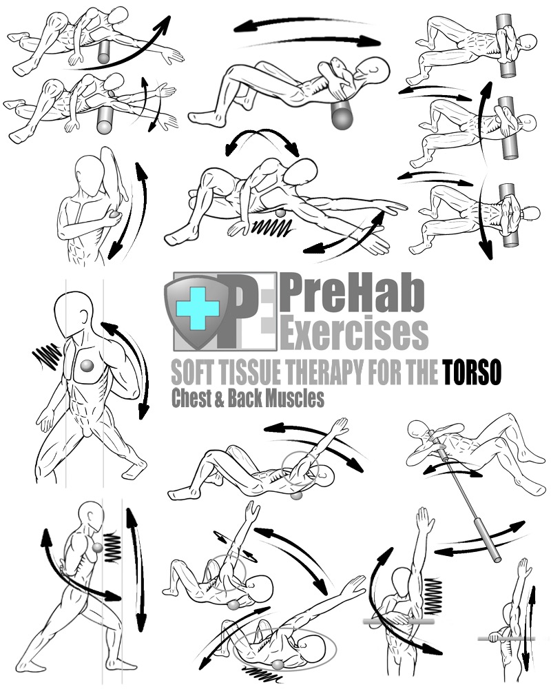 PreHab-Exercise-Book-Appendix-Soft-Tissue-Therapy-for-the-Torso-Chest-and-Back-Pectorals-Latissimus-Dorsi-Rhomboids-Trapezius.jpg