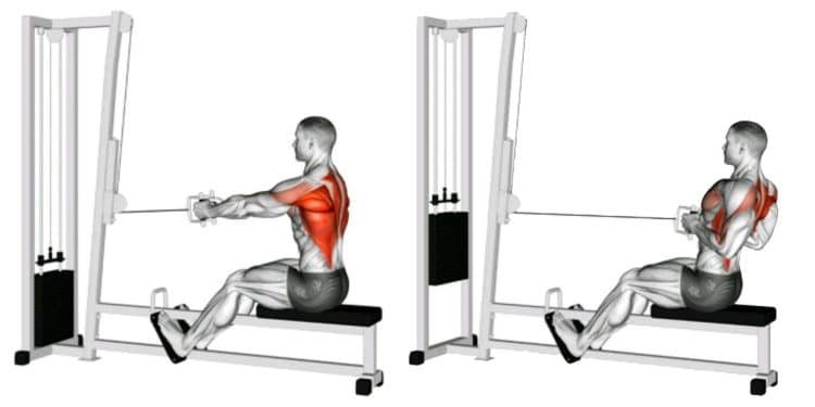 Close-Grip-Row-Muscles-Worked-750x375.jpg
