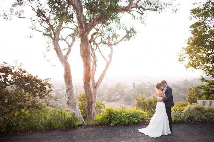 Yellow Wedding.jpg