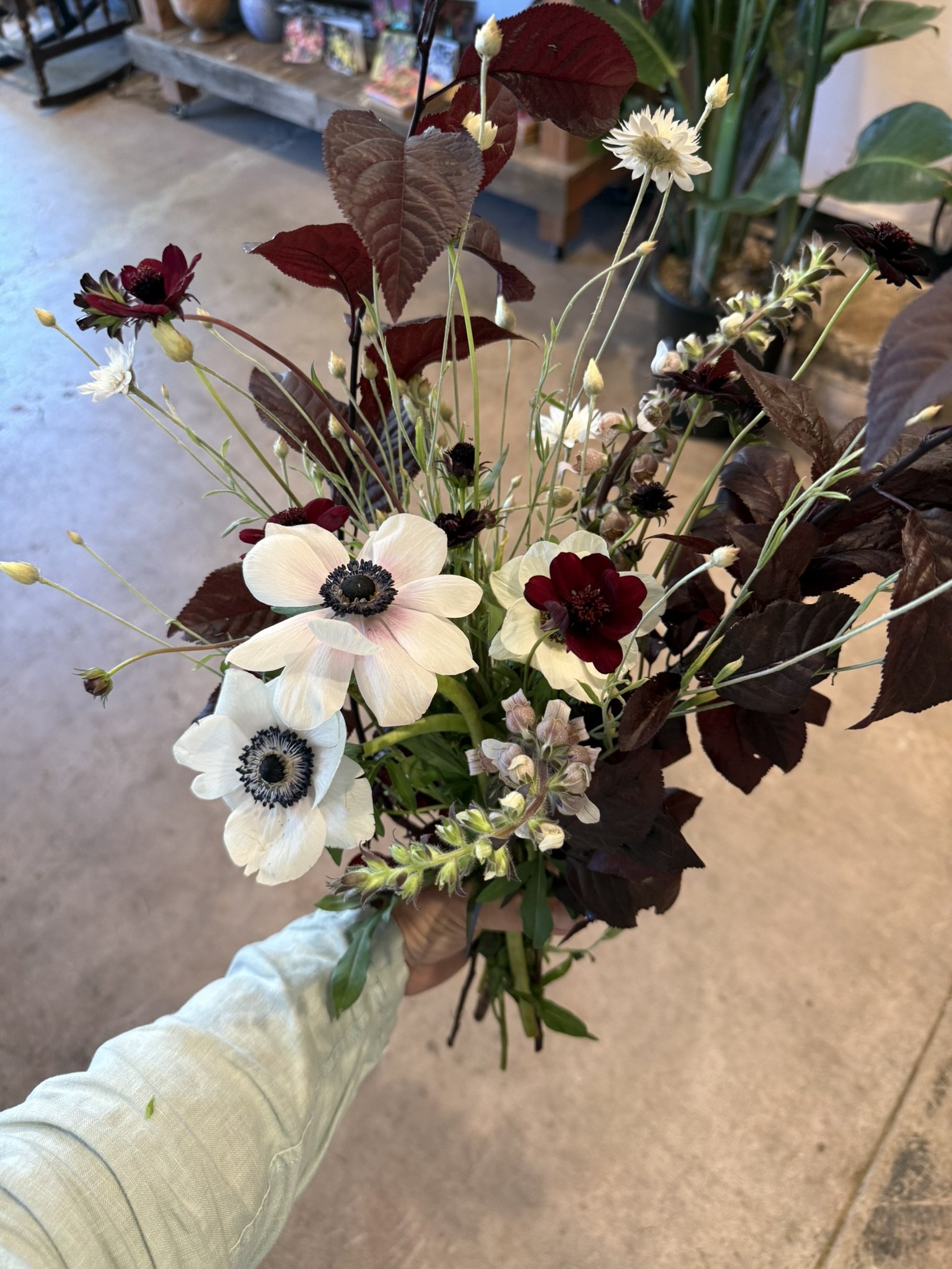 IMG_3938.JPEG