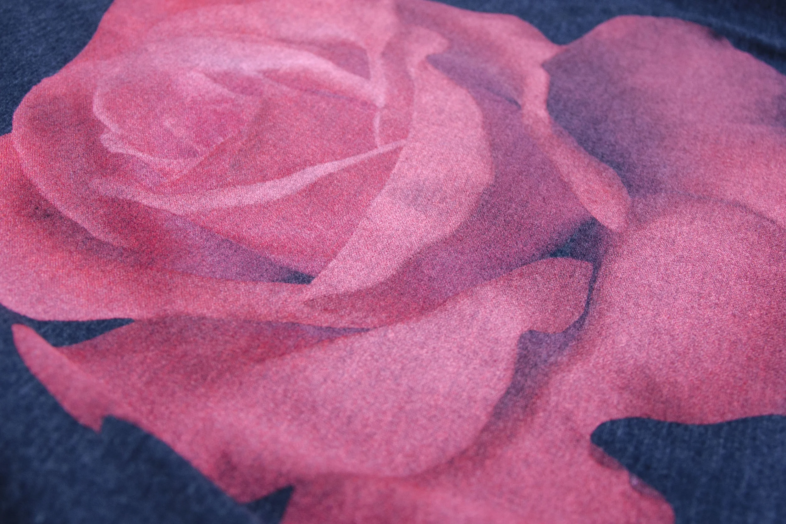 DSC_3000_RoseTeeCloseup.jpg