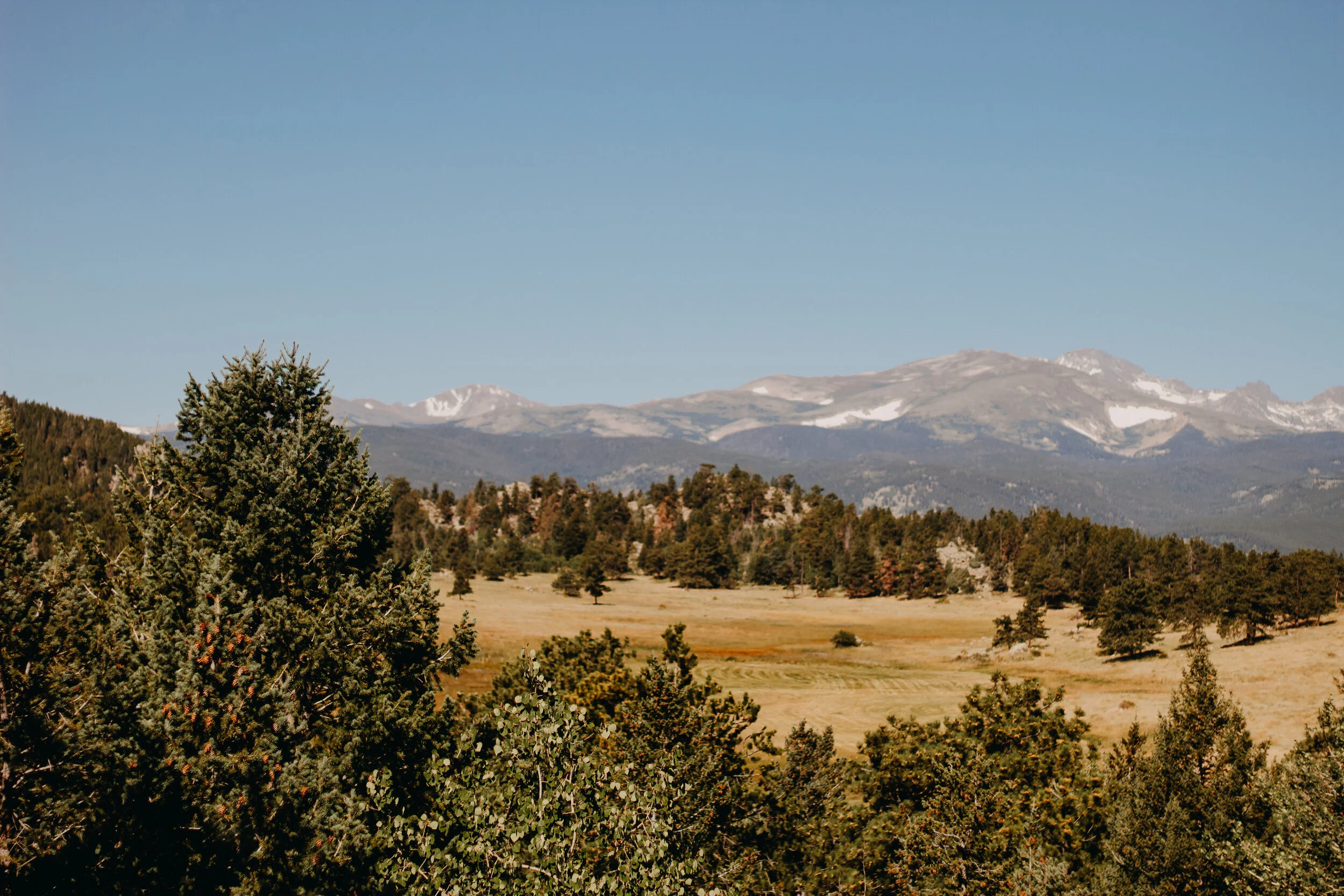 The STUNNING view from the back porch