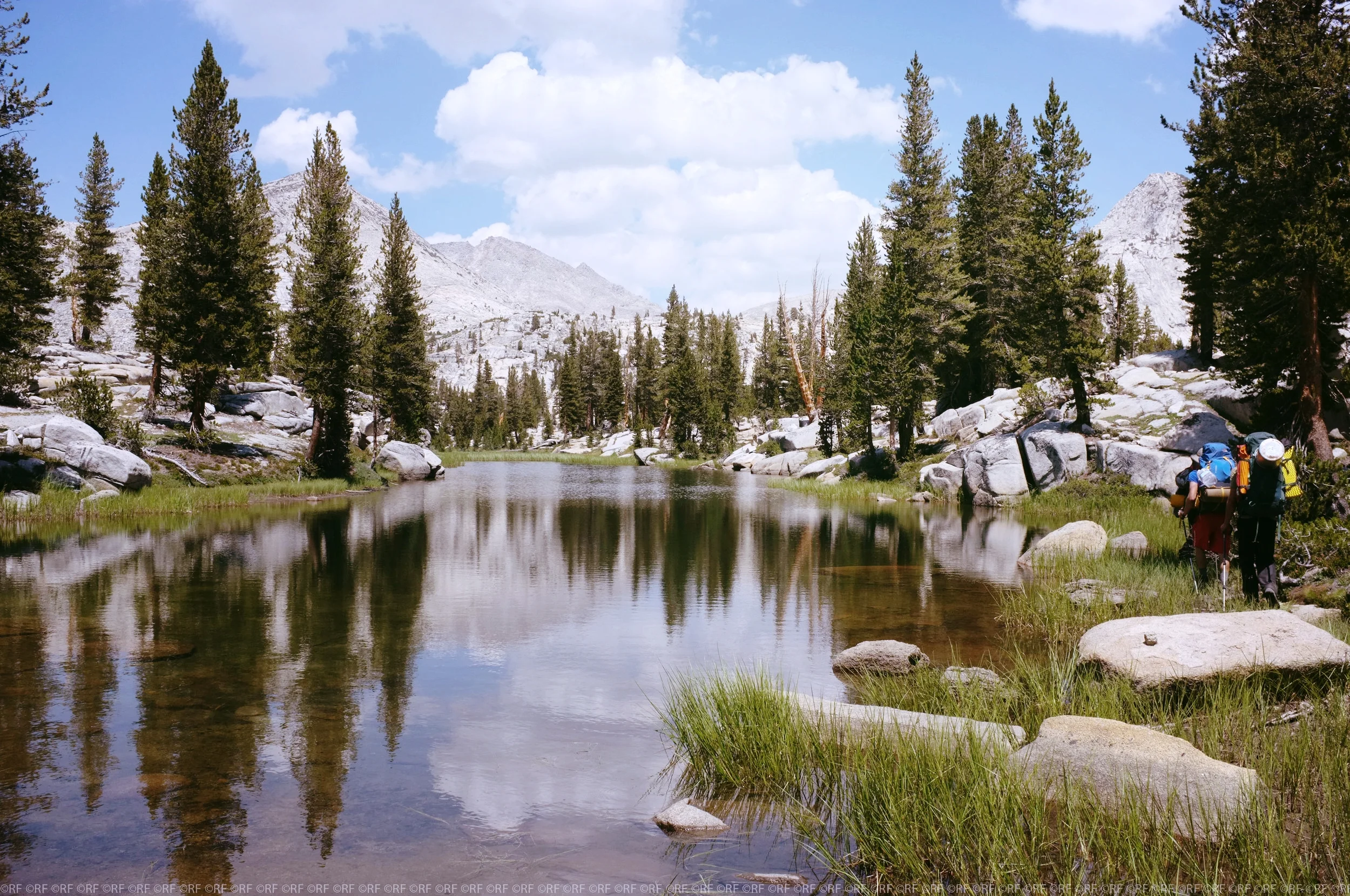 rf_wy2jm-38.jpg