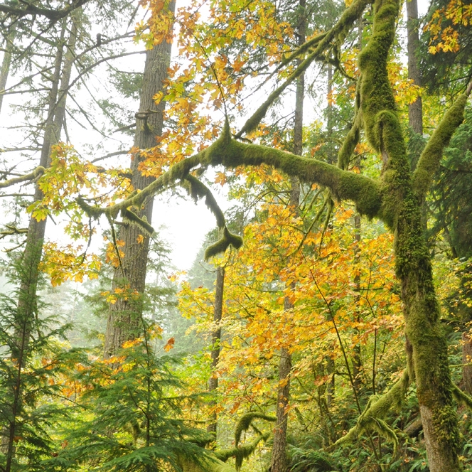 Triple Falls, Oct 2011