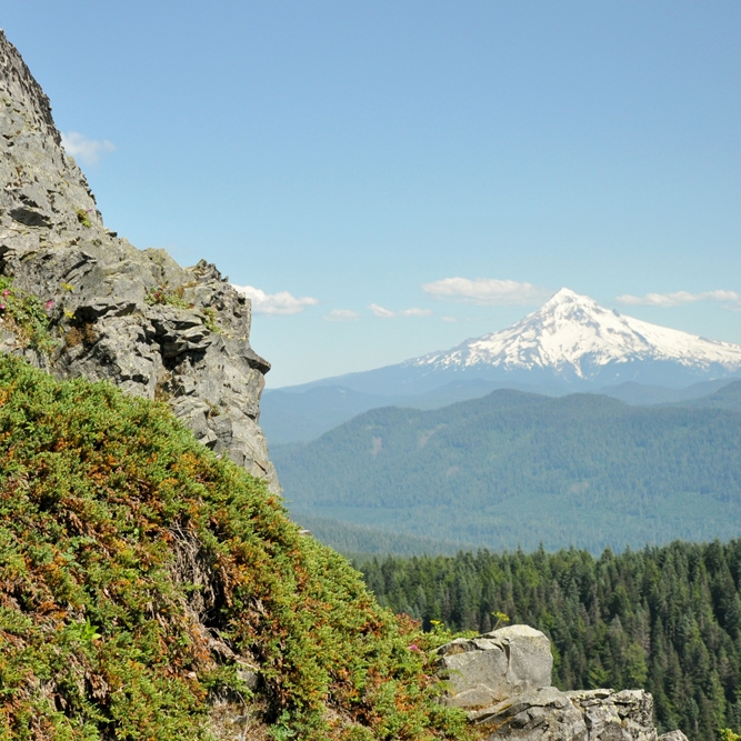 Larch Mountain, Aug 2011