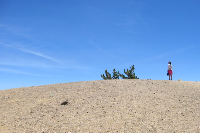 Rotisserie at the summit of Mt. Baden-Powell