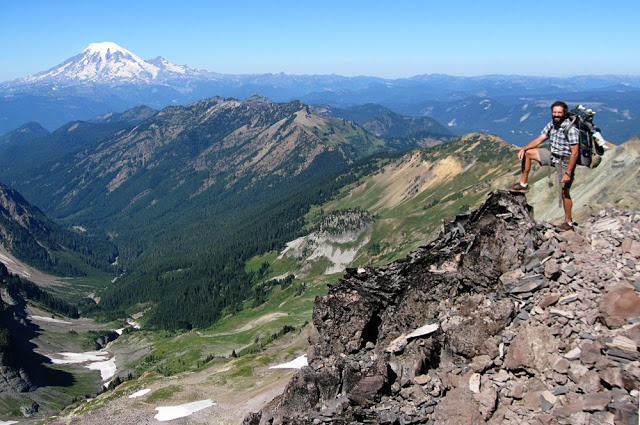 Treekiller with Mt Rainier