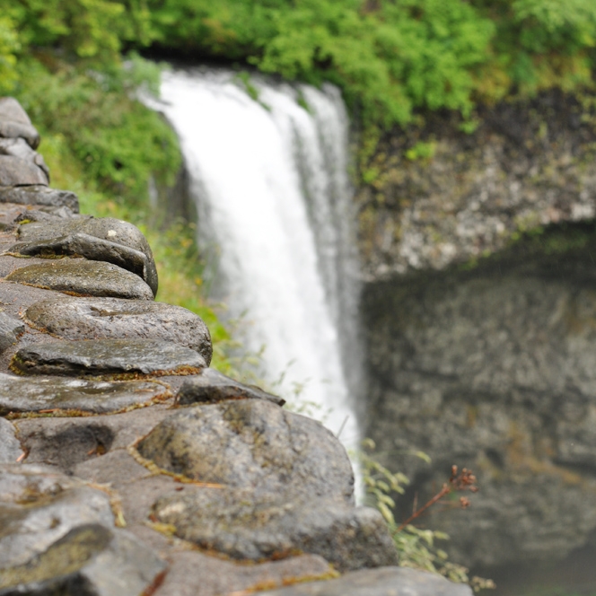 Silver Falls State Park, June 2012