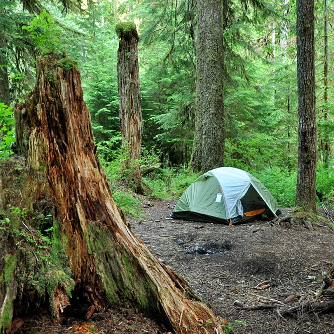 Olympic National Park, July 2012