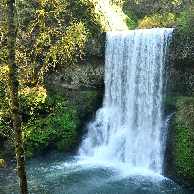Silver Falls State Park, May 2014