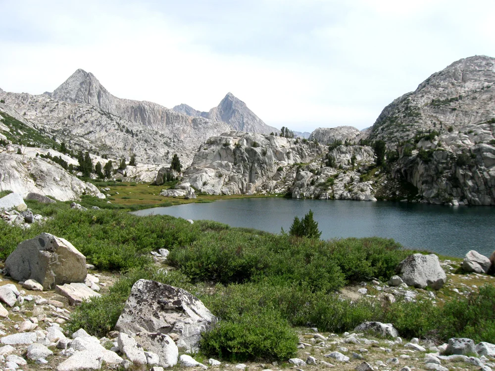 IMG_5698_1.jpg