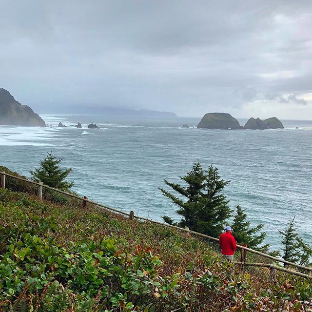 Pacific pondering. #capemeares #pacificocean #whalewatching #oregonexplored