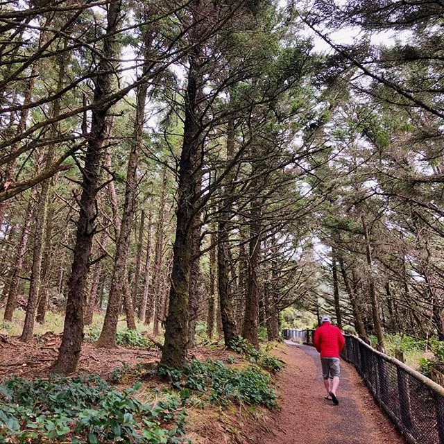 Walking among giants. #capemeares  #portland #oregonexplored #pacificocean