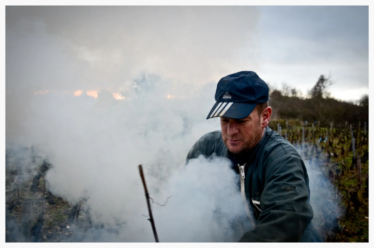 A Month In The Vines - January 