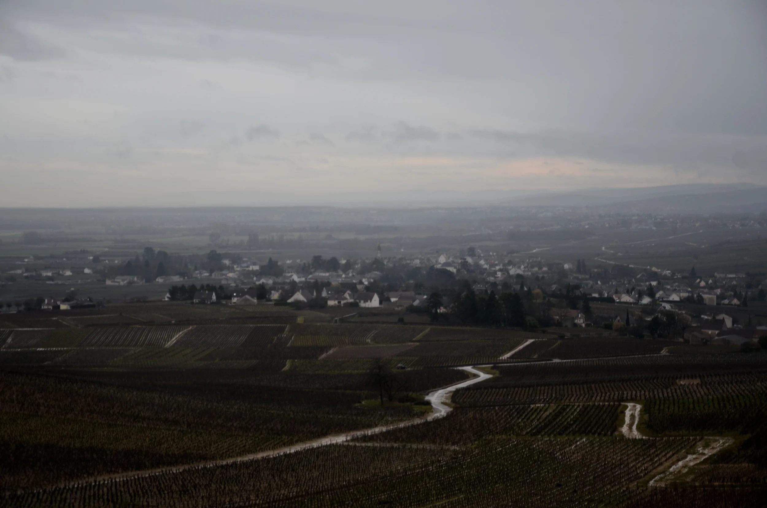 A Month In The Vines - February