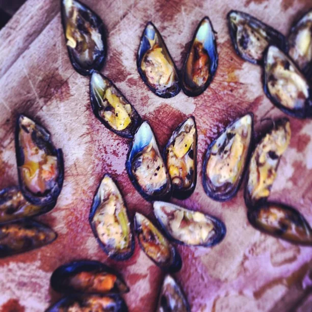 Grilled Open Shell Mussels with Olive Oil & White Pepper