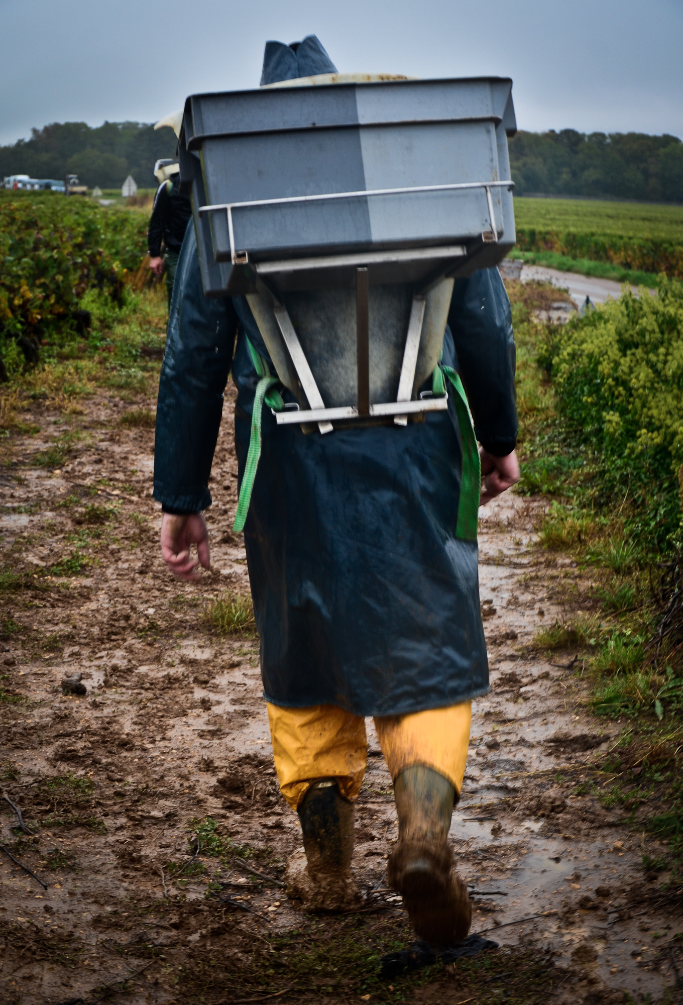 Hungry_Cyclist_Burgundy_Harvest12-13.jpg