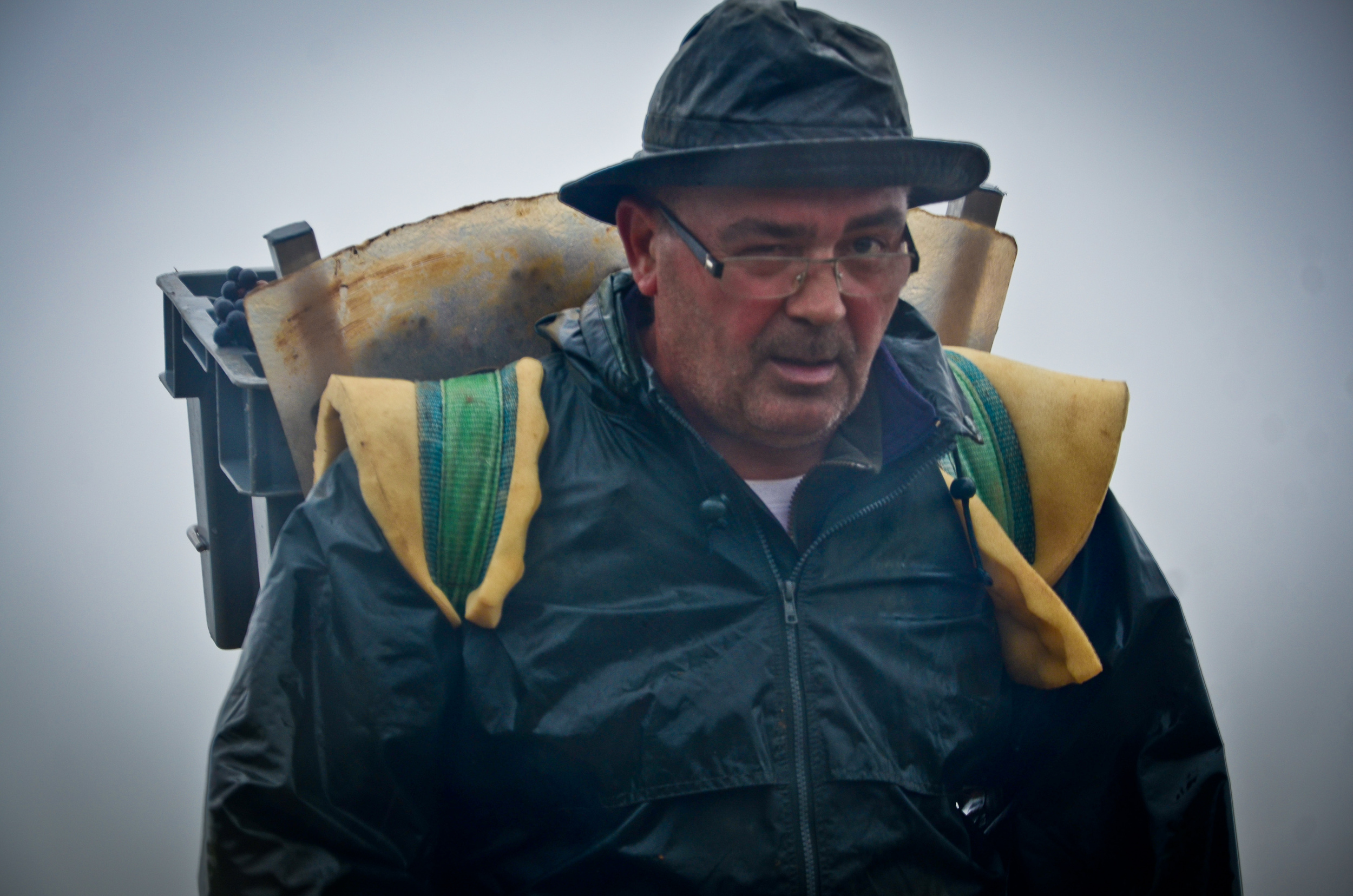 Hungry_Cyclist_Burgundy_Harvest12-18.jpg