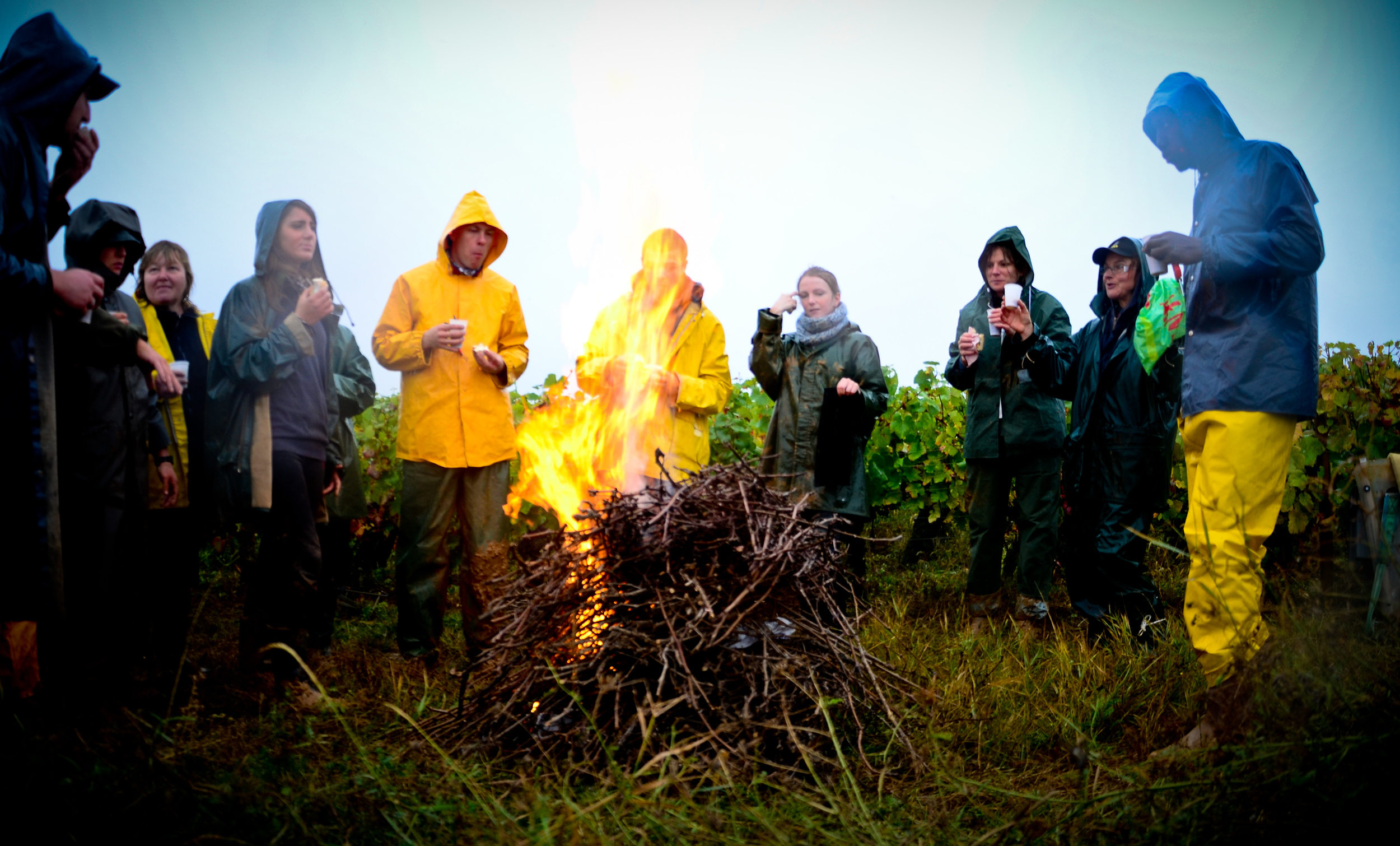 Hungry_Cyclist_Burgundy_Harvest12-25.jpg