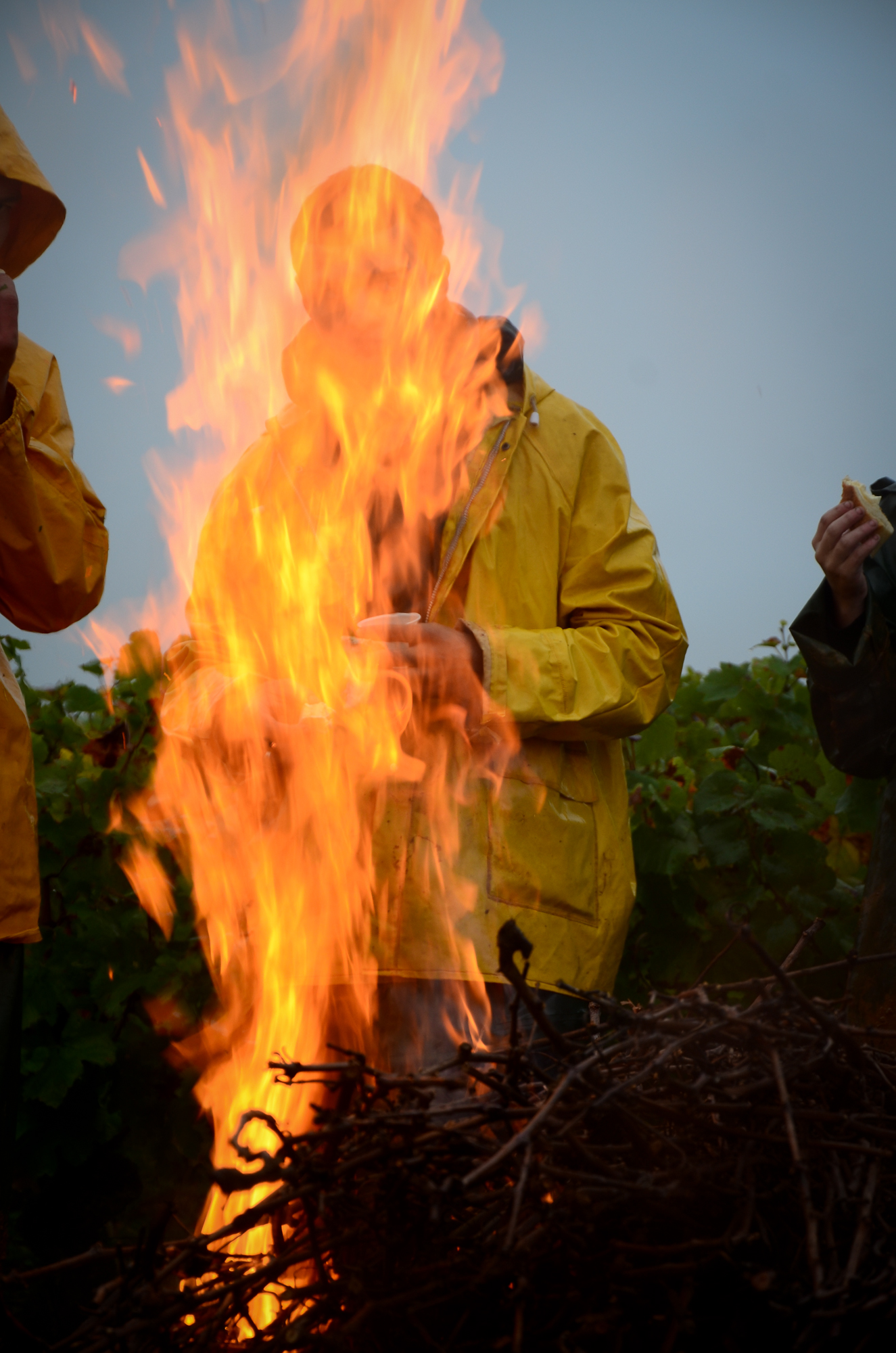 Hungry_Cyclist_Burgundy_Harvest12-28.jpg