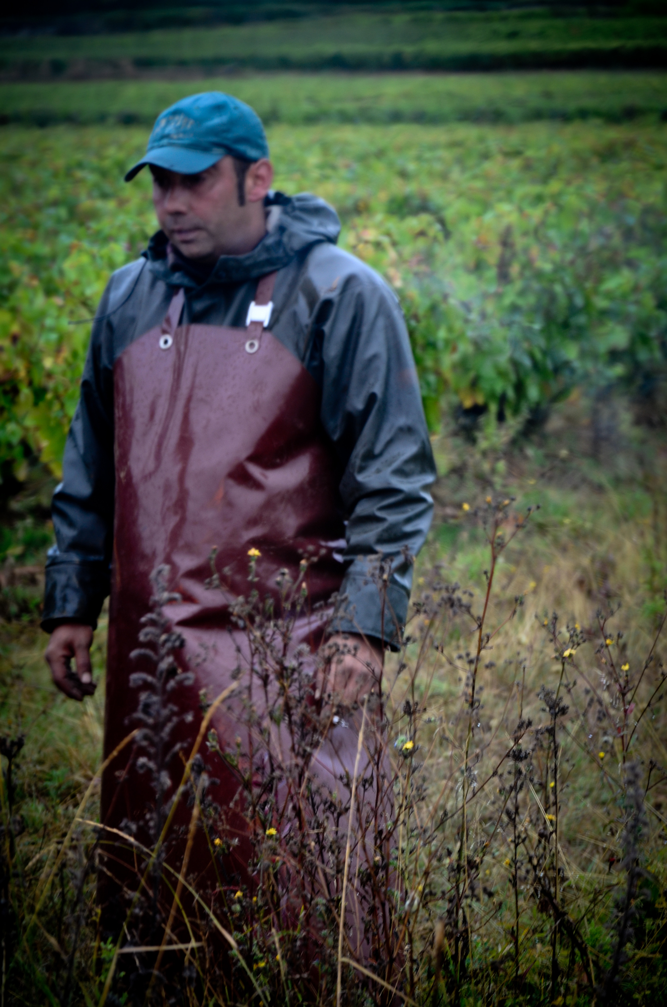 Hungry_Cyclist_Burgundy_Harvest12-33.jpg