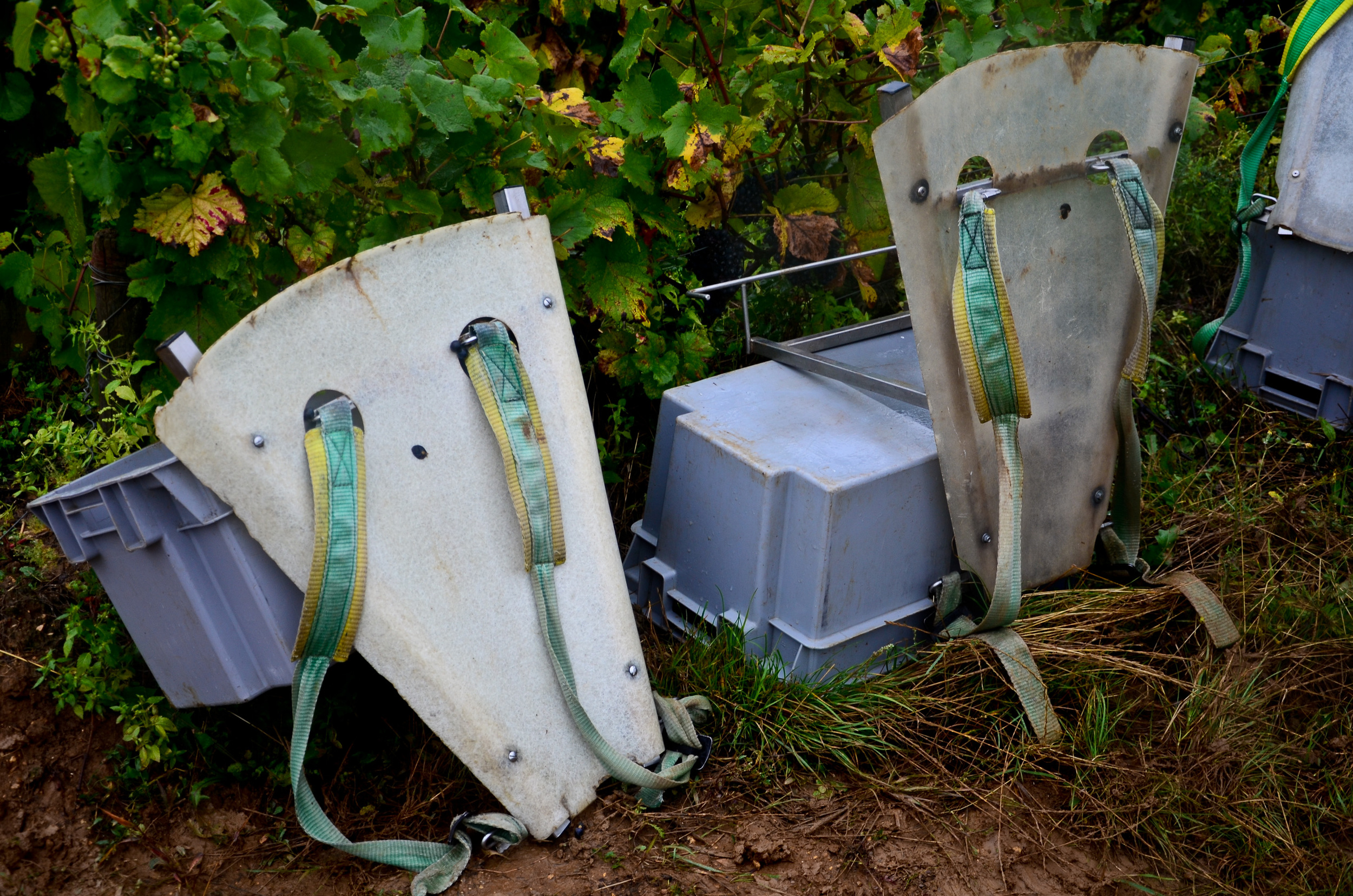 Hungry_Cyclist_Burgundy_Harvest12-40.jpg