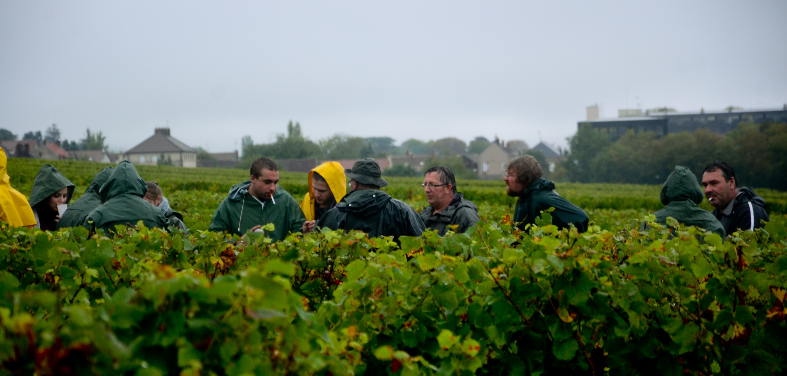 Hungry_Cyclist_Burgundy_Harvest12-45.jpg