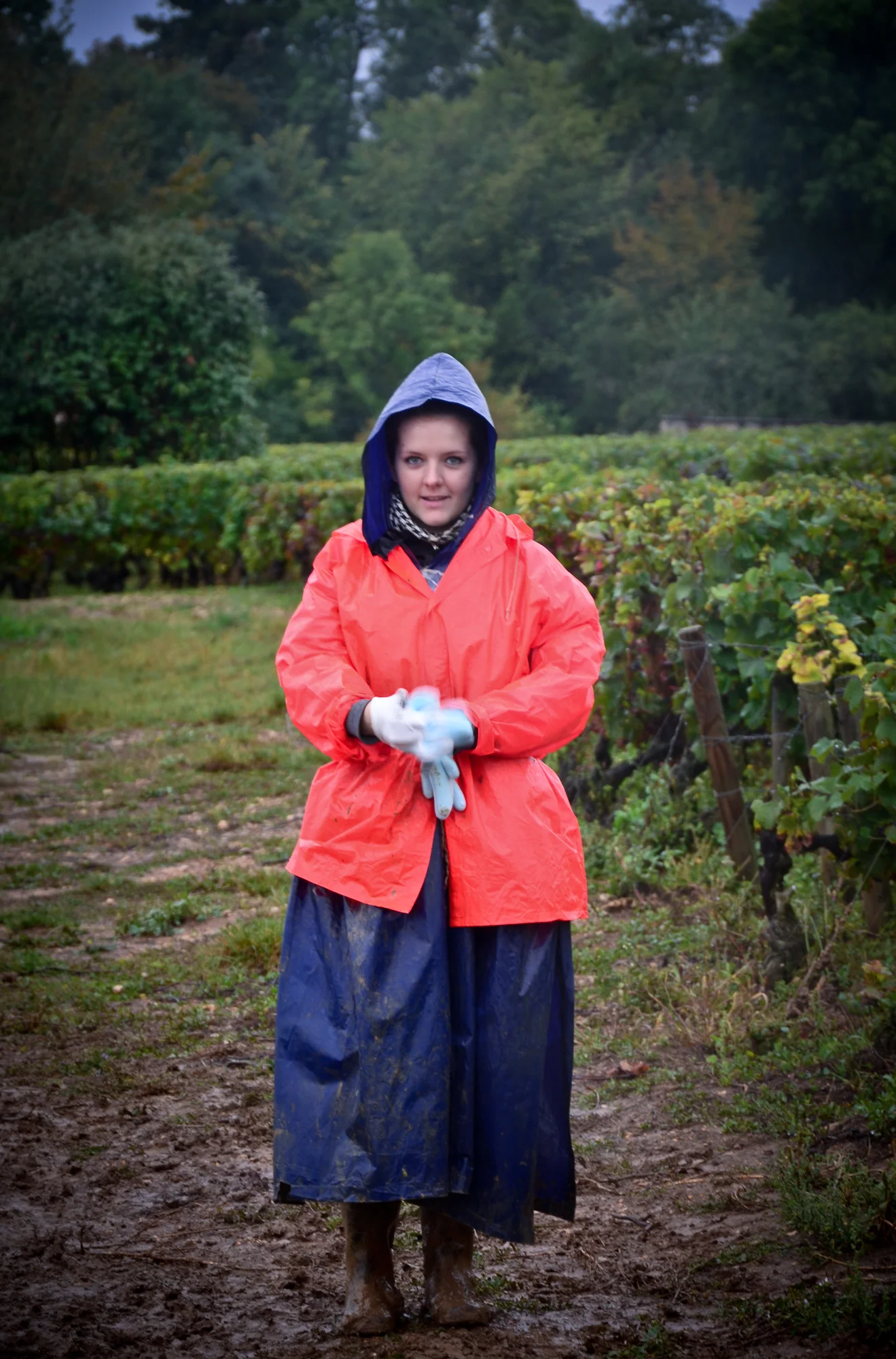 Hungry_Cyclist_Burgundy_Harvest12-44.jpg