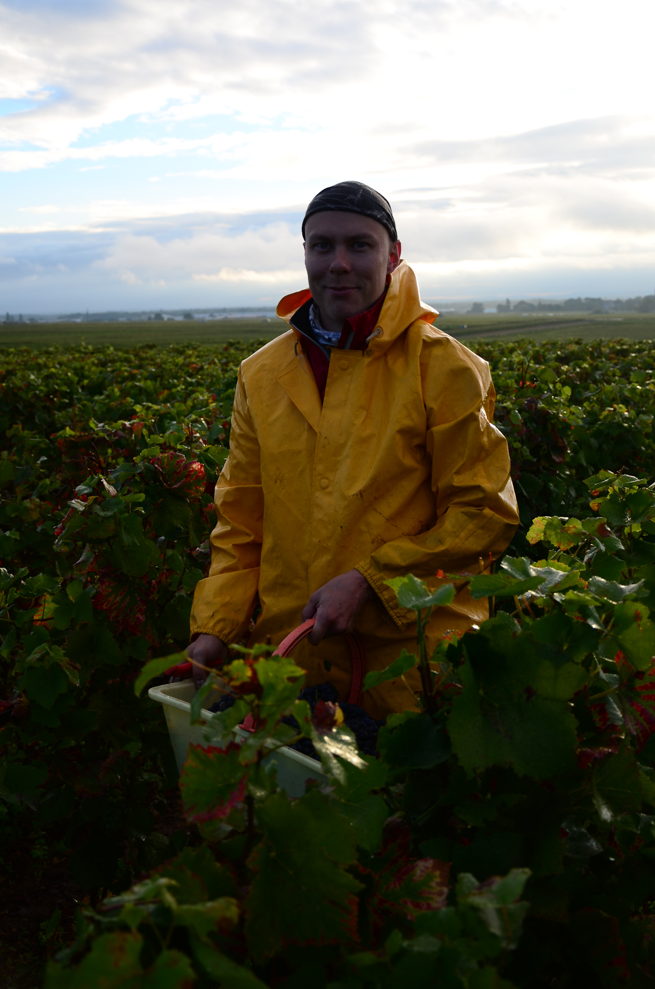 Hungry_Cyclist_Burgundy_Harvest12-73.jpg