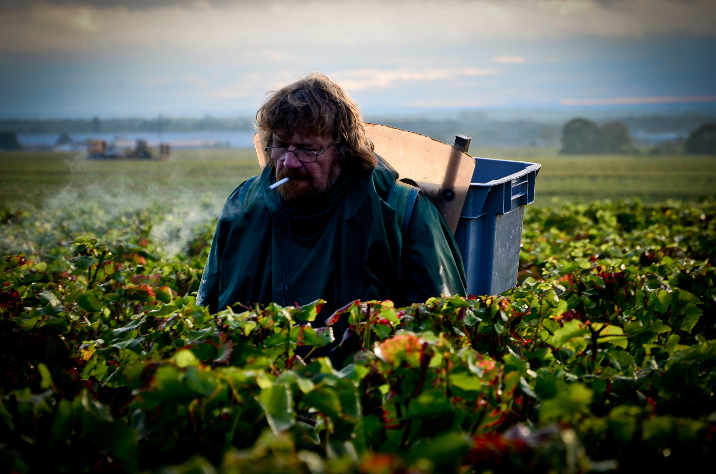 Hungry_Cyclist_Burgundy_Harvest12-81.jpg