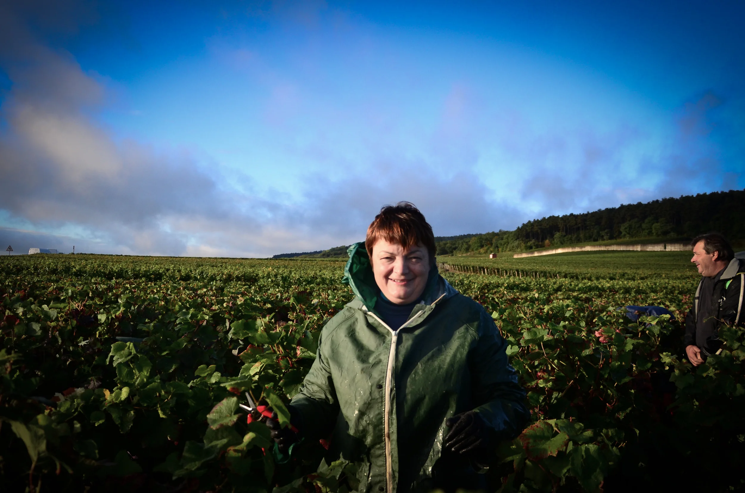 Hungry_Cyclist_Burgundy_Harvest12-86.jpg