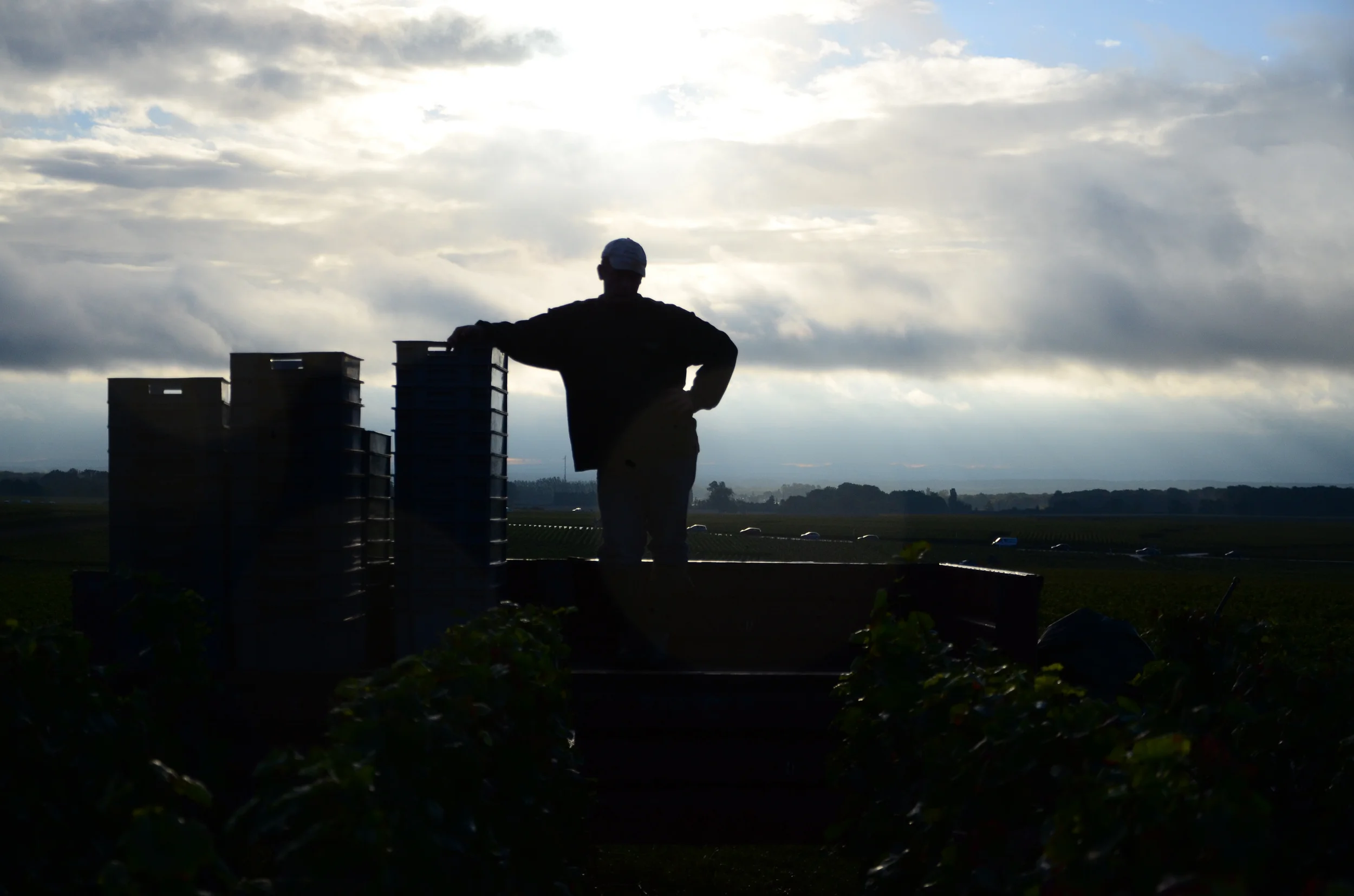 Hungry_Cyclist_Burgundy_Harvest12-92.jpg